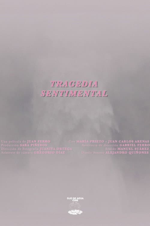 A Sentimental Tragedy (2025) poster