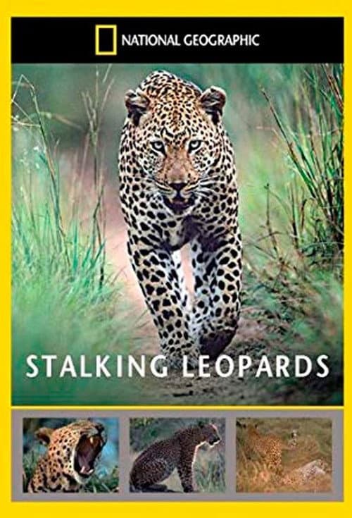 Stalking Leopards (2002) poster
