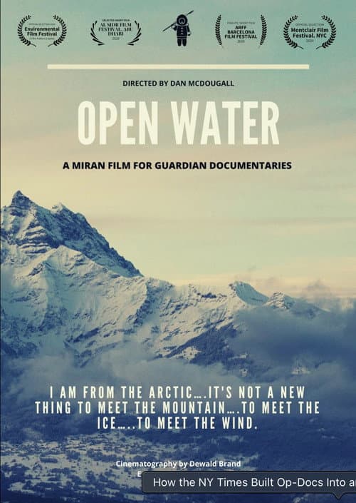 Open Water (2019) poster