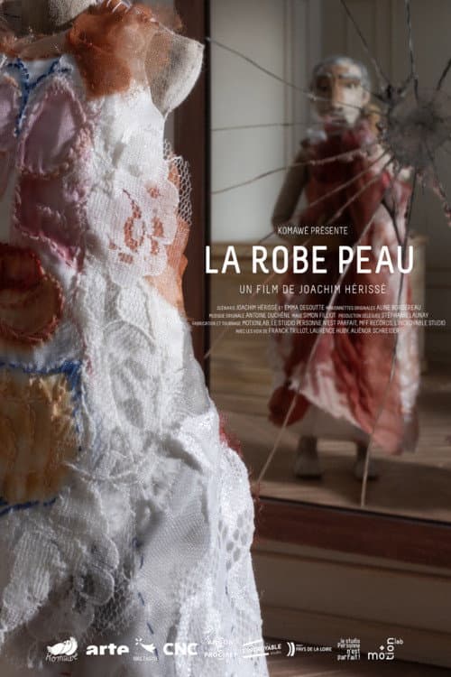 The Flesh Dress poster