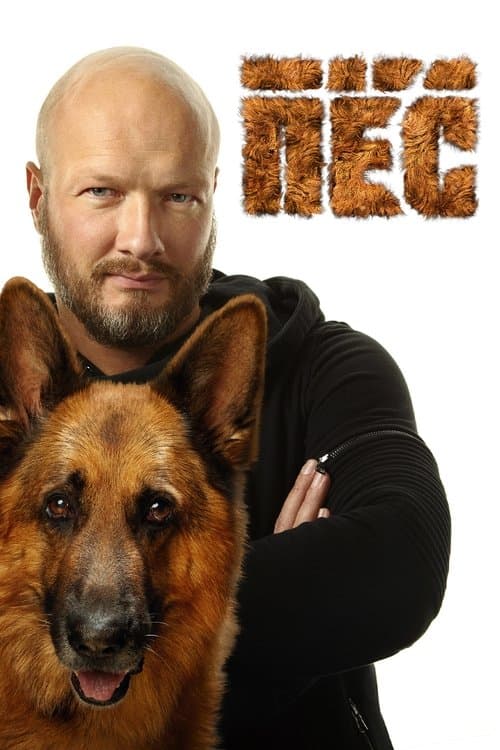 Dog (2015) poster