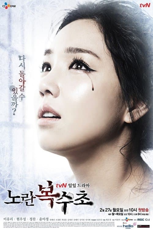 Yellow Boots (2012) poster