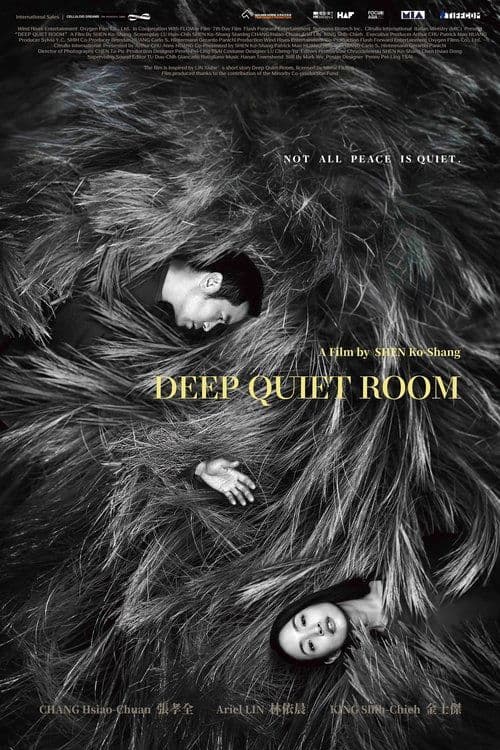Deep Quiet Room (2026) poster