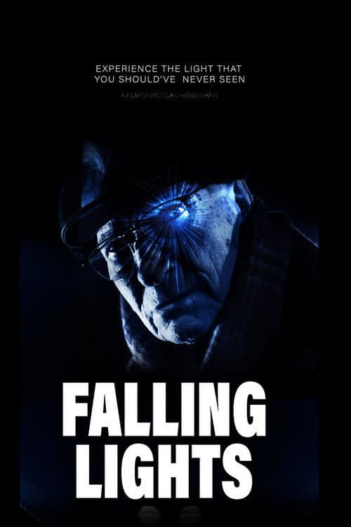 Falling Lights (2024) poster