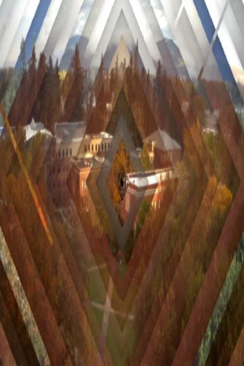 VORTEX TEMPORUM poster
