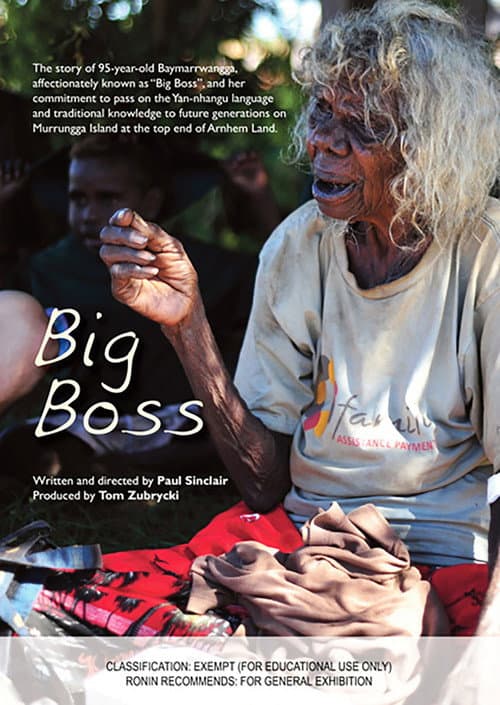 Big Boss poster