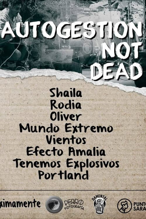 DIY Not Dead poster