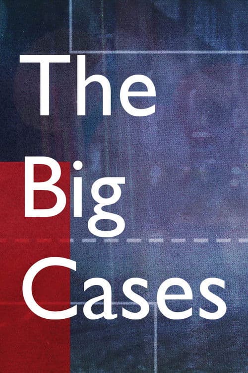 The Big Cases (2022) poster
