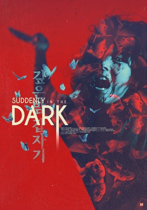 Suddenly in the Dark (1981) poster