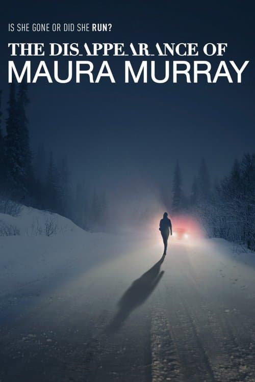The Disappearance of Maura Murray (2017) poster