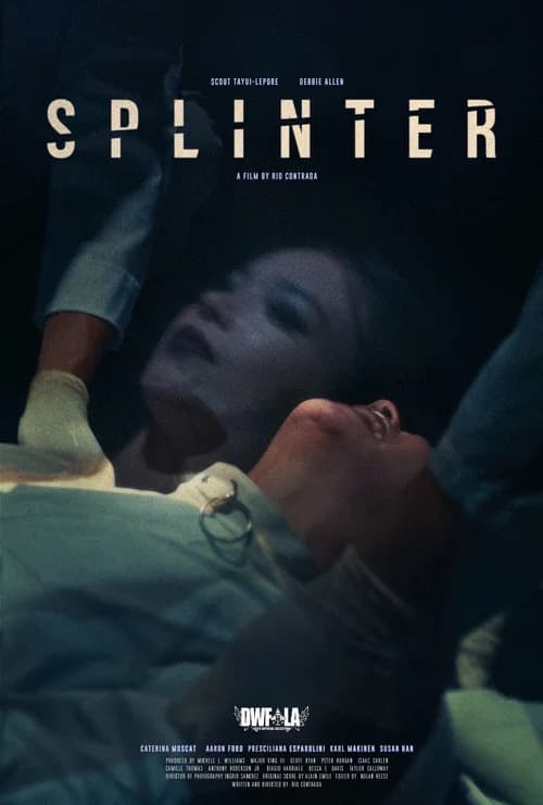 Splinter poster