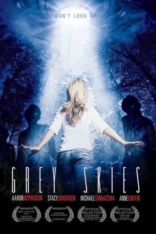 Grey Skies (2010) poster