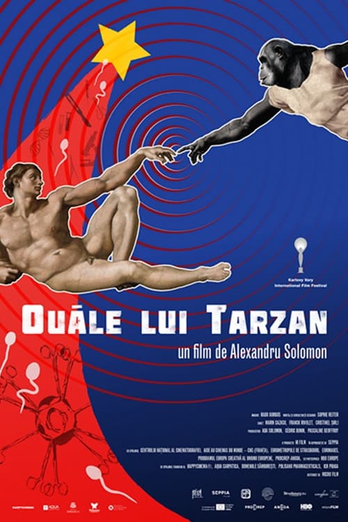 Tarzan's testicles (2017) poster