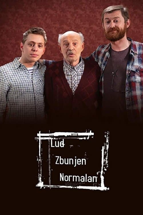 Crazy, Confused, Normal (2007) poster