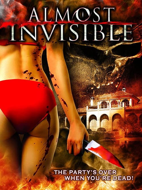 Almost Invisible (2010) poster