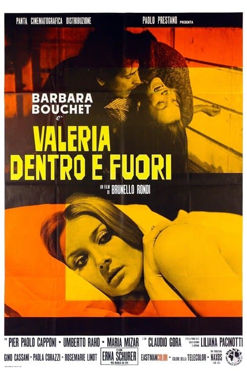 Valerie Inside Outside poster