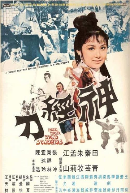 Mad, Mad, Mad Swords poster