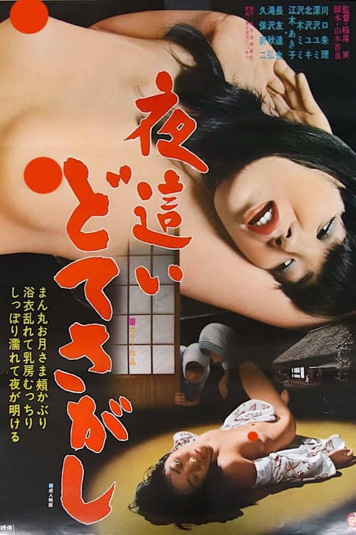 Night Visitors: Sex Hunt poster