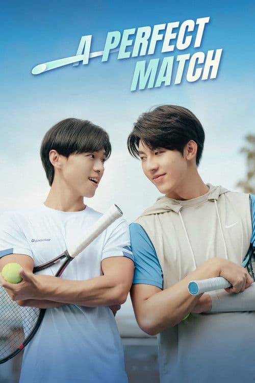 A Perfect Match poster