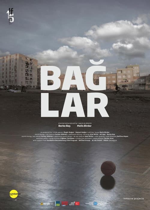 Baglar poster