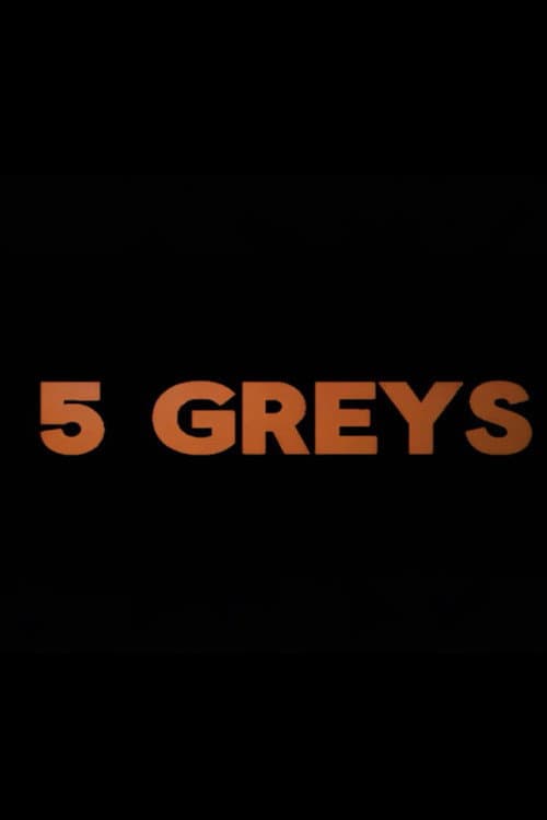 5 greys (2026) poster
