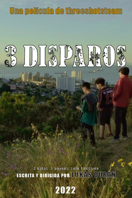 3 Shots poster
