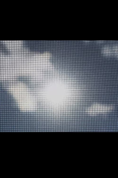 A Study In Meshes poster