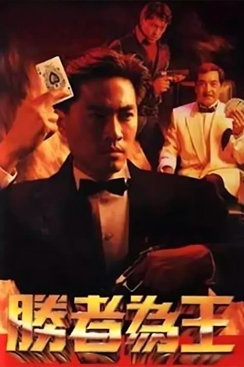 Who's The Winner (1991) poster