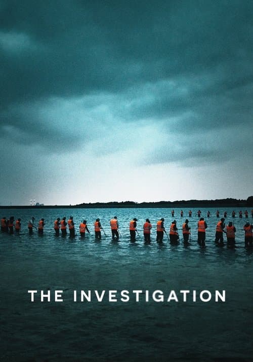 The Investigation (2020) poster