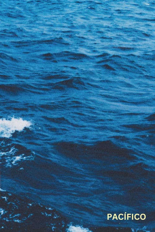 Pacific (2024) poster