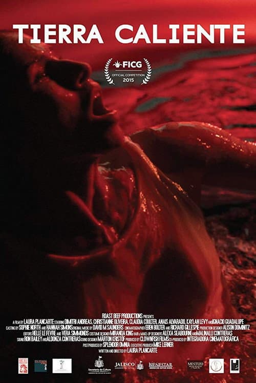Tierra Caliente (2015) poster