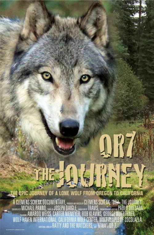 Or7: The Journey poster