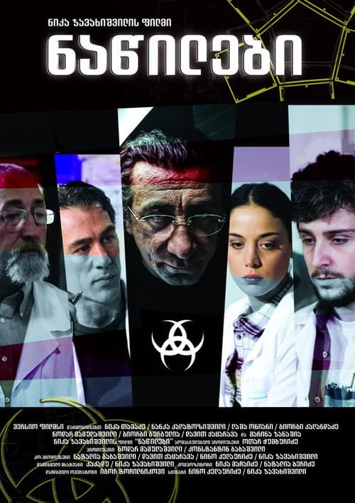 The Parts (2013) poster