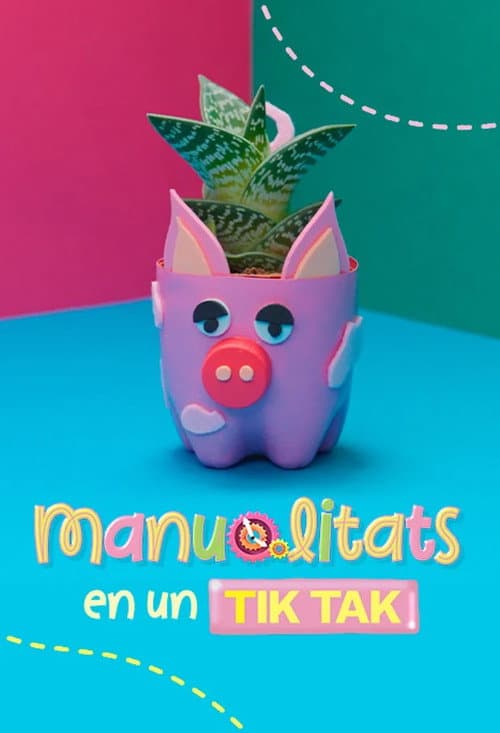 Manualitats en un tik tak (2025) poster