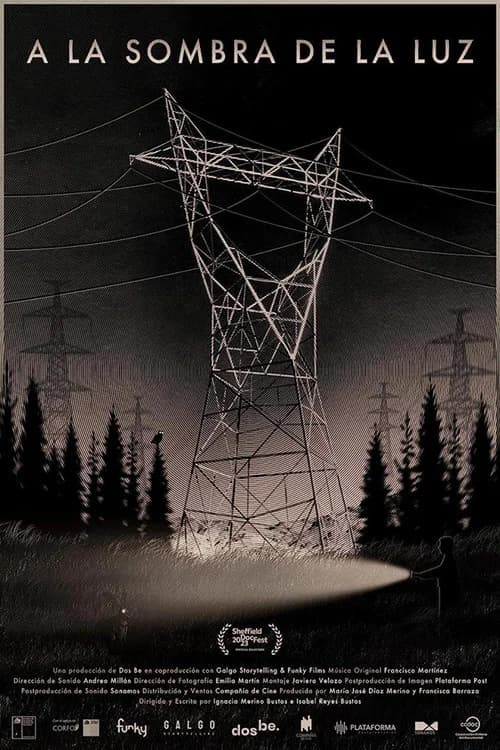 In the Shadow of Light poster