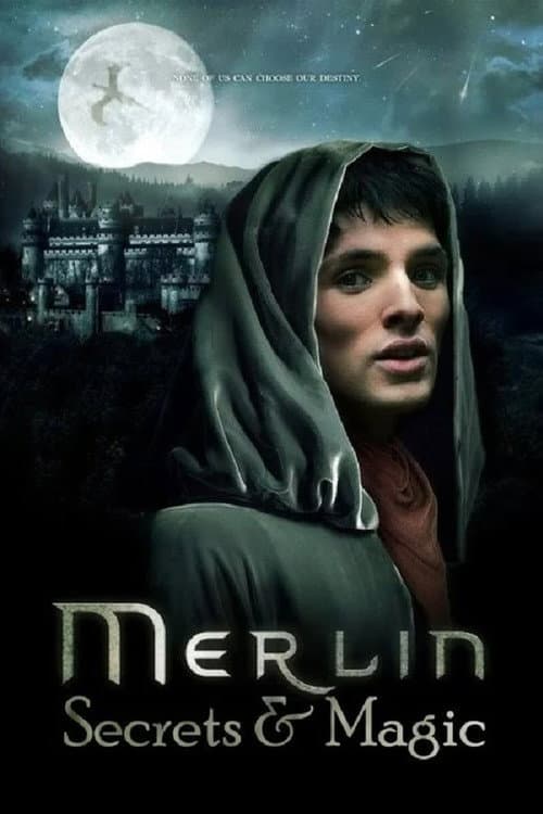 Merlin: Secrets and Magic (2009) poster
