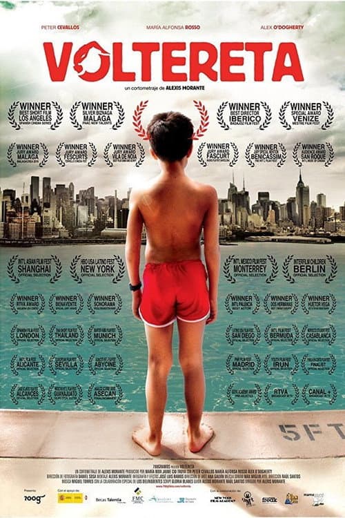 Somersault (2010) poster