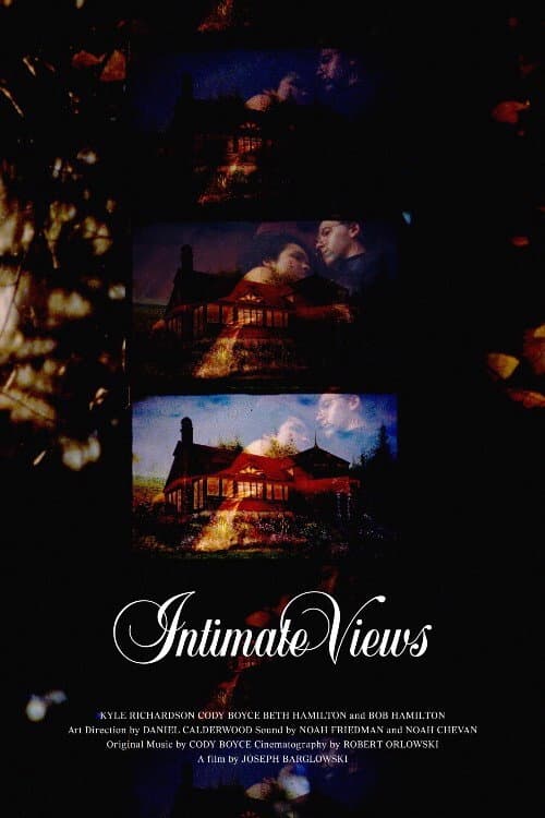 Intimate Views (2021) poster