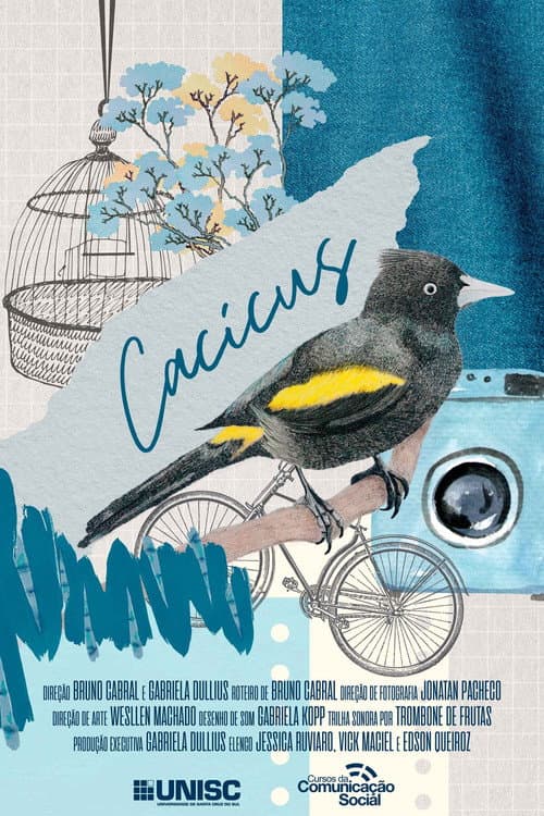 Cacicus poster
