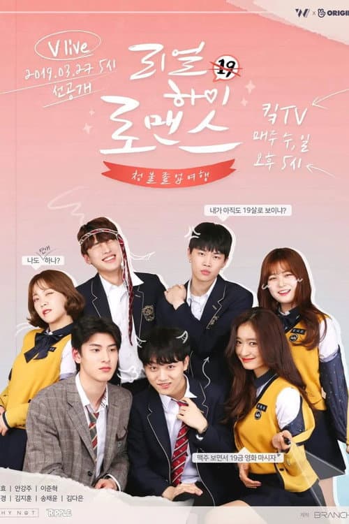 Real High School Romance poster