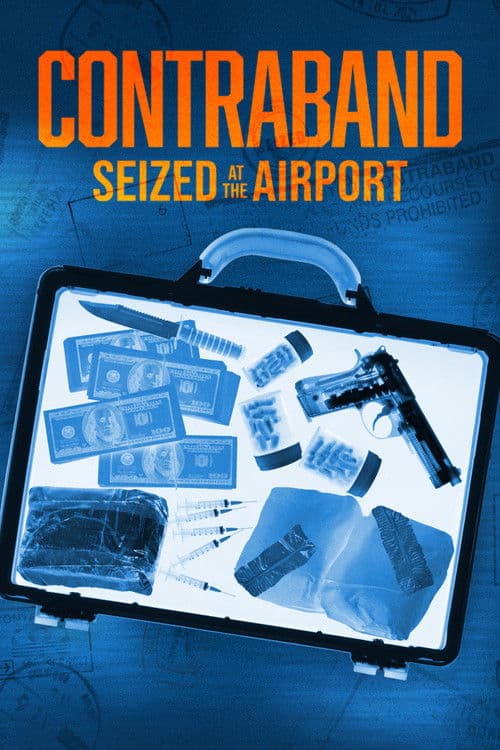 Contraband: Seized at the Airport (2024) poster