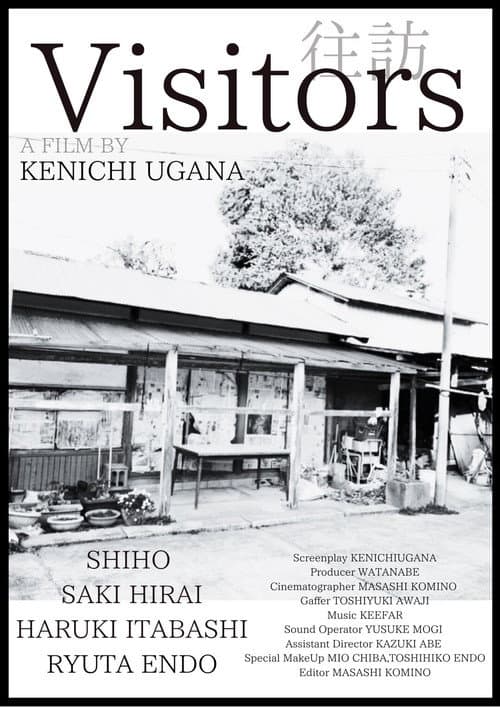 Visitors (2022) poster