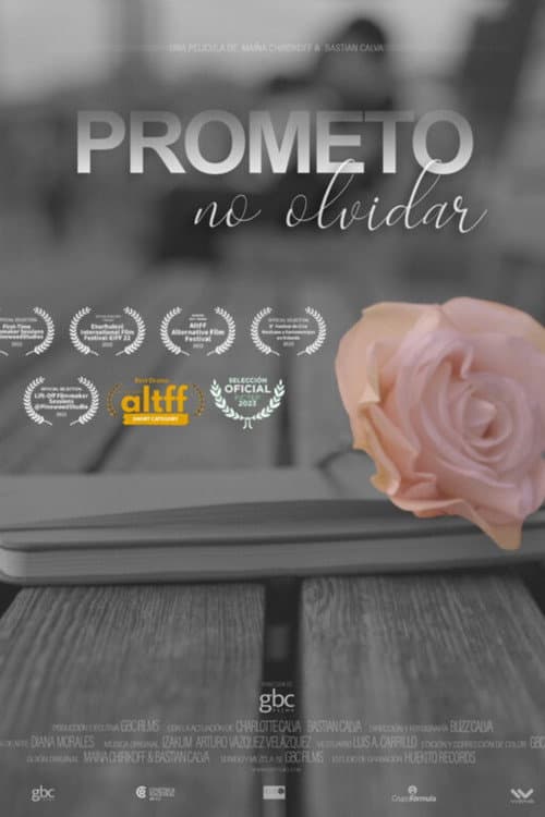 I Promise to Never Forget poster