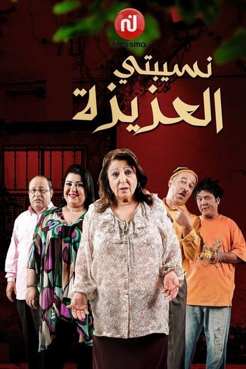 My Dear Mother-in-law (2010) poster