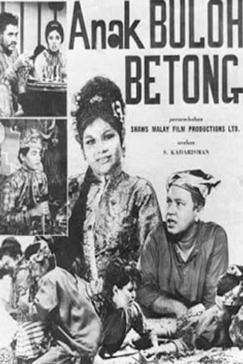 Anak Buloh Betong (1966) poster
