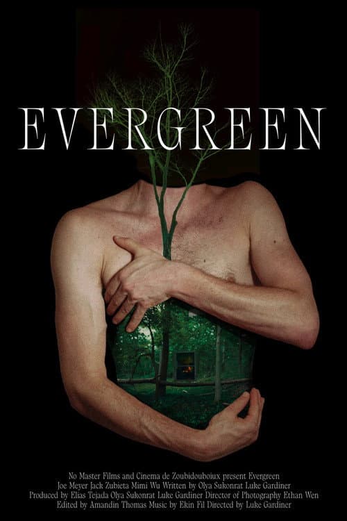 Evergreen (2026) poster