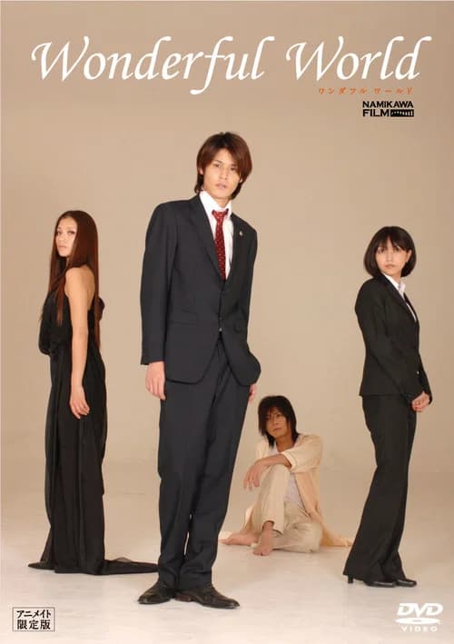 Wonderful World (2010) poster