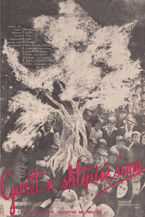 The Stones of my House (1983) poster