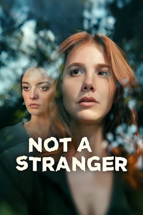 Not a Stranger (2026) poster
