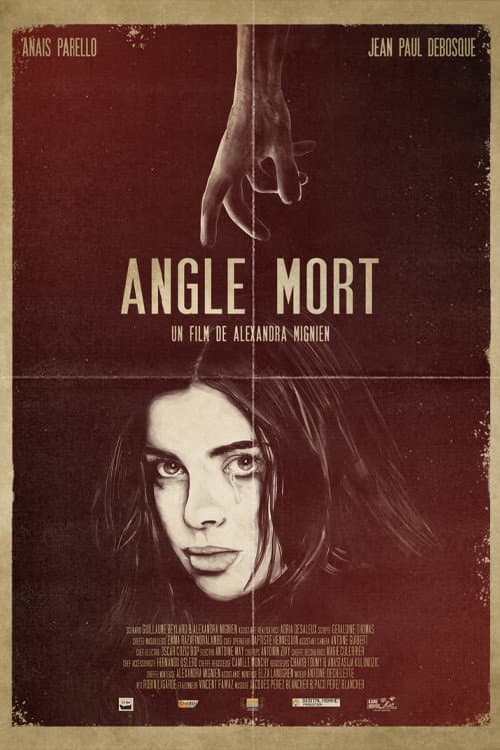 Blind Spot (2021) poster